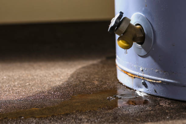 Best Commercial water damage restoration  in Welsh, LA