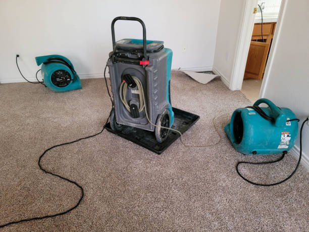 Best Water damage restoration near me  in Welsh, LA