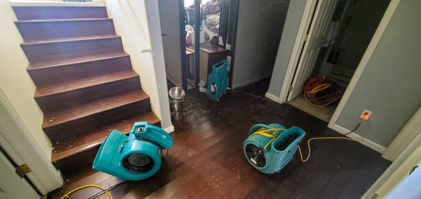 Best Local water damage restoration  in Welsh, LA