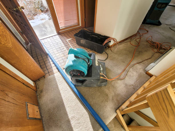 Best 24-hour water damage restoration  in Welsh, LA