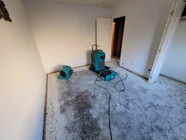 Water damage restoration mold remediation in Welsh, LA