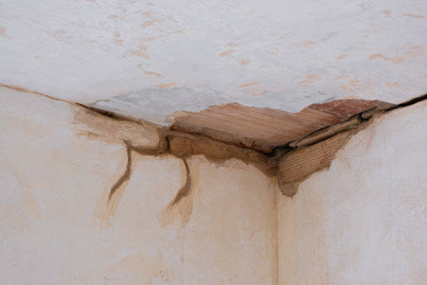 Best Sewage cleanup and water damage restoration  in Welsh, LA