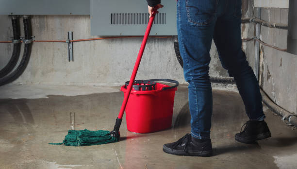 Best 24/7 water damage repair  in Welsh, LA