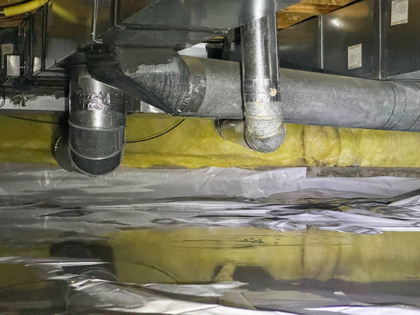 Best Flood restoration services  in Welsh, LA