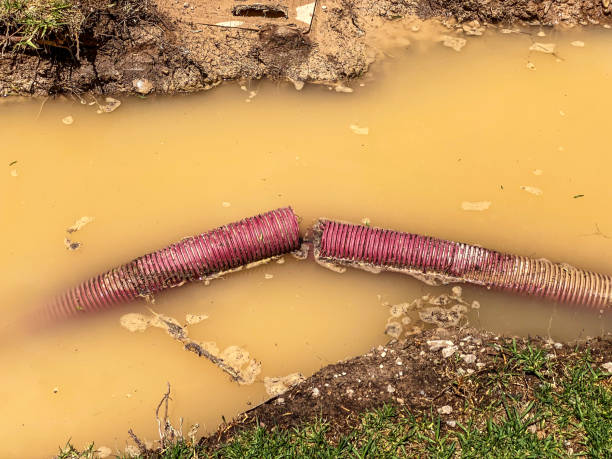 Best Water damage restoration near me  in Welsh, LA