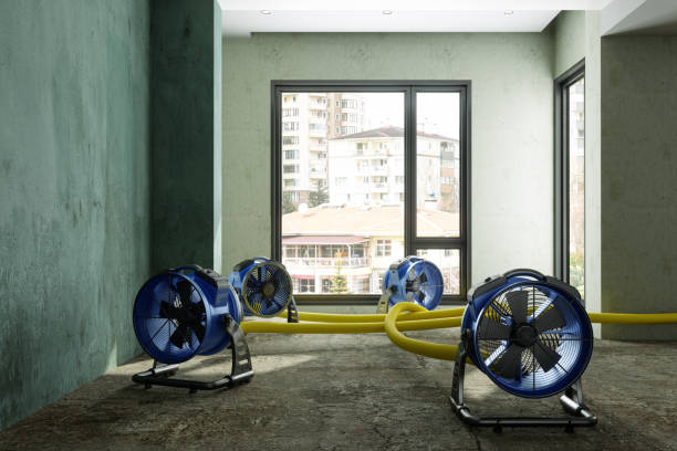 Best Flood restoration services  in Welsh, LA