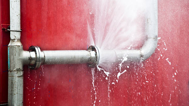 Best Carpet water damage restoration  in Welsh, LA